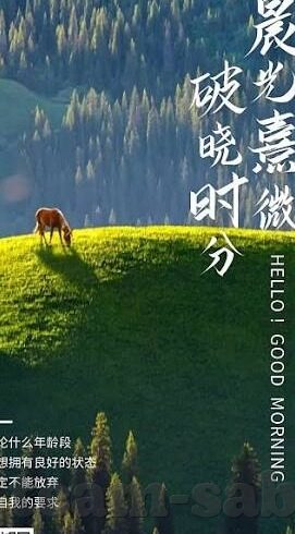 足球比分0雷速-深度解析，足球比分0背后的战术博弈与心理较量——以雷速体育视角透视